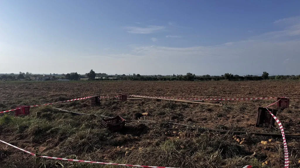 Έσκαβαν για πατάτες και...έπεσαν πάνω σε βόμβα από τον Β' Παγκόσμιο πόλεμο! ΦΩΤΟ Έσκαβαν για πατάτες και...έπεσαν πάνω σε βόμβα από τον Β' Παγκόσμιο πόλεμο! ΦΩΤΟ
