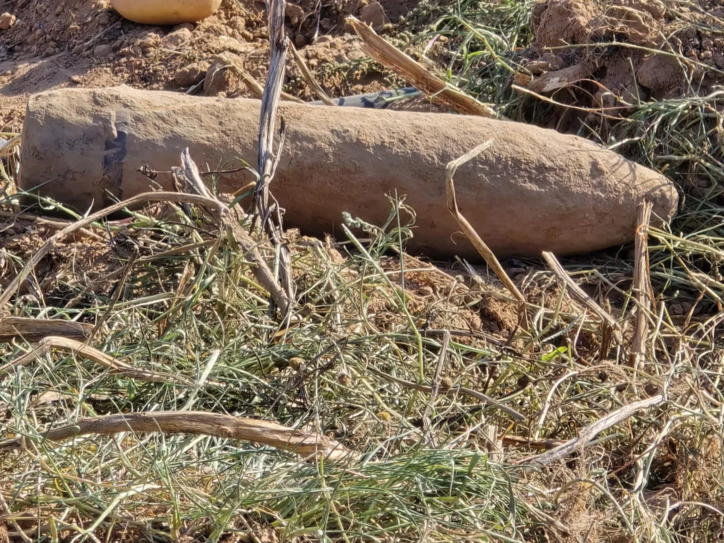 Έσκαβαν για πατάτες και…έπεσαν πάνω σε βόμβα από τον Β’ Παγκόσμιο πόλεμο! ΦΩΤΟ