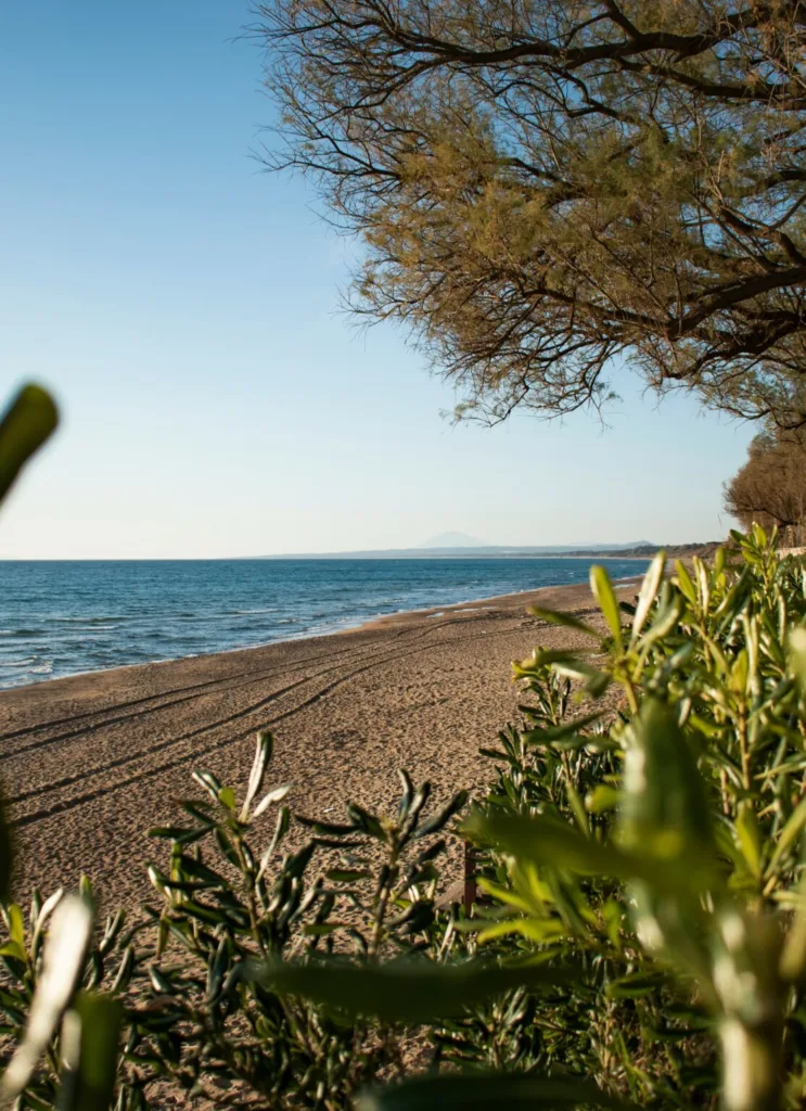 Κορυφαίες παραλίες, σχετικά κοντά στην Αθήνα, «δύο βήματα» από την Πάτρα ΦΩΤΟ Κορυφαίες παραλίες, σχετικά κοντά στην Αθήνα, «δύο βήματα» από την Πάτρα ΦΩΤΟ