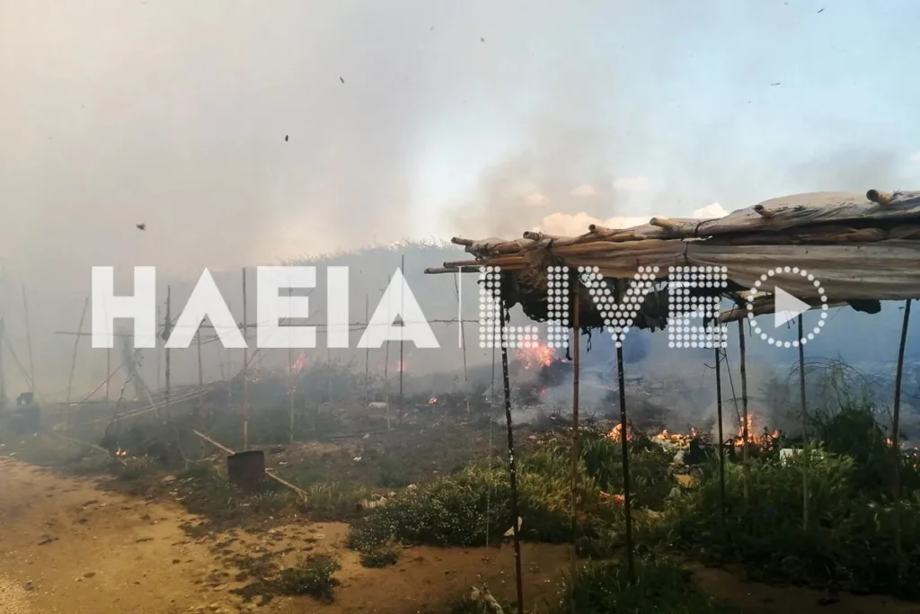 Φωτιά στον καταυλισμό εργατών στη Μανωλάδα – Εκρήξεις από φιάλες υγραερίου ΦΩΤΟ-ΒΙΝΤΕΟ
