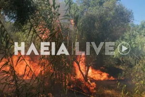 Ηλεία: Μεγάλη φωτιά στα Λεχαινά, συναγερμός στην Πυροσβεστική, ήχησε το 112 ΦΩΤΟ