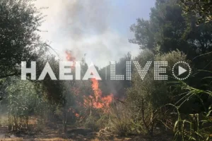 Ηλεία: Μεγάλη φωτιά στα Λεχαινά, συναγερμός στην Πυροσβεστική, ήχησε το 112 ΦΩΤΟ