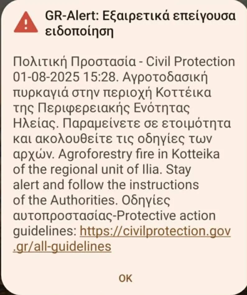 Ηλεία: Μεγάλη φωτιά στα Λεχαινά, συναγερμός στην Πυροσβεστική, ήχησε το 112 ΦΩΤΟ