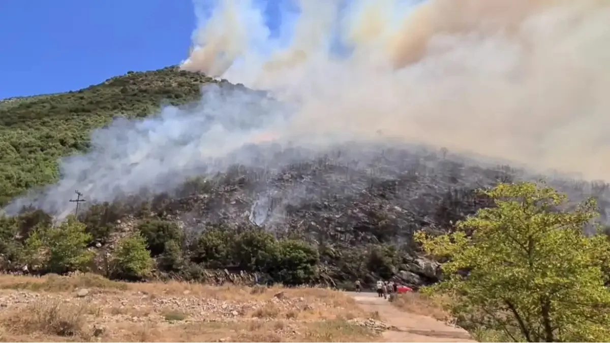 Φωτιά τώρα στα Καλύβια Ηλείας: Επιχειρούν 42 πυροσβέστες και 4 εναέρια μέσα