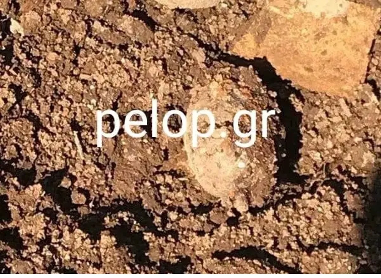 Ζαχάρω: Βρήκε στο χωράφι του χειροβομβίδα!