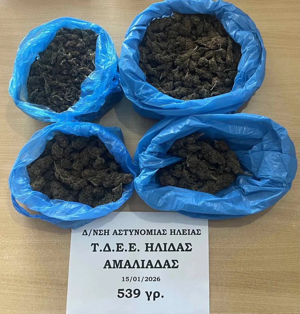 Αμαλιάδα: Διακινητής ναρκωτικών με μισό κιλό κάνναβης ΦΩΤΟ