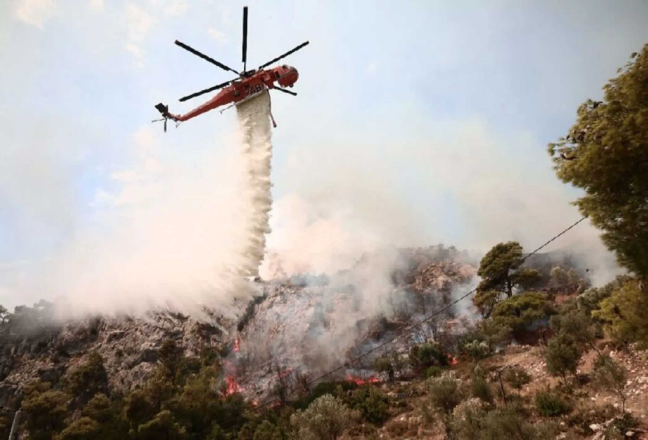 ΝΕΟΤΕΡΑ Συναγερμός στον Πύργο: Μεγάλη φωτιά στον Ελαιώνα, μάχη με δύο μέτωπα ΒΙΝΤΕΟ
